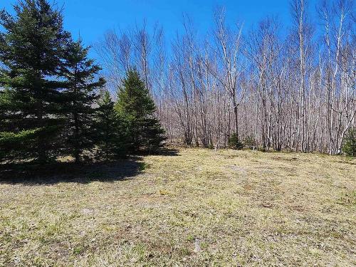 Lot 2 Grand Lake Road, Princedale, NS 