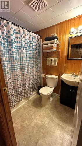 1222 Oceanview Drive, Cape St George, NL - Indoor Photo Showing Bathroom