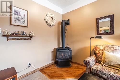 1109 Lake St, Sault Ste. Marie, ON - Indoor With Fireplace