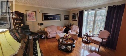 11-15 Southside Road, Port Aux Bras, NL - Indoor Photo Showing Living Room