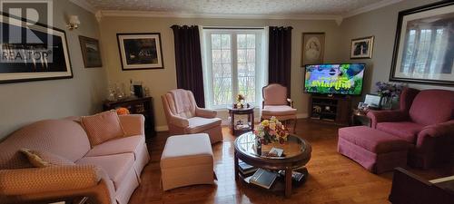 11-15 Southside Road, Port Aux Bras, NL - Indoor Photo Showing Living Room