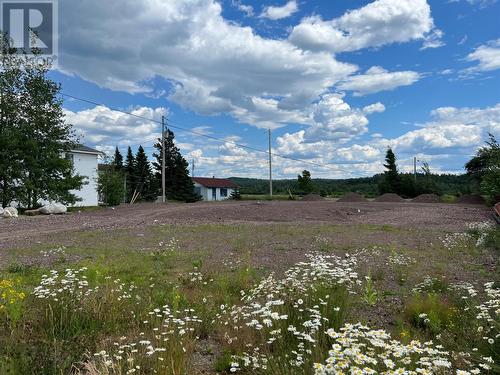 19 Station Road, Bishops Falls, NL 