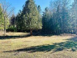 Land/Lot - 