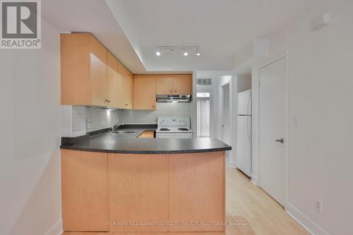 235 - 415 Jarvis Street, Toronto, ON - Indoor Photo Showing Kitchen