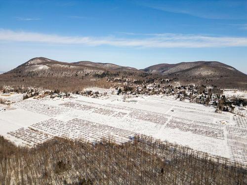 Vue - 1066 Ch. De La Montagne, Mont-Saint-Hilaire, QC - Outdoor With View