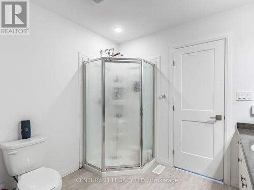 176 - 30 Times Square Boulevard, Hamilton, ON - Indoor Photo Showing Bathroom