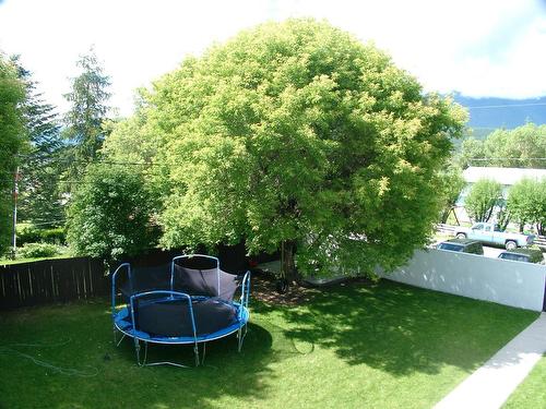 E - 1680 Sinclair Avenue, Windermere, BC - Outdoor With Backyard