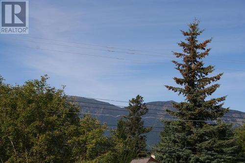 1680 Sinclair  Avenue Unit# E, Windermere, BC - Outdoor With View