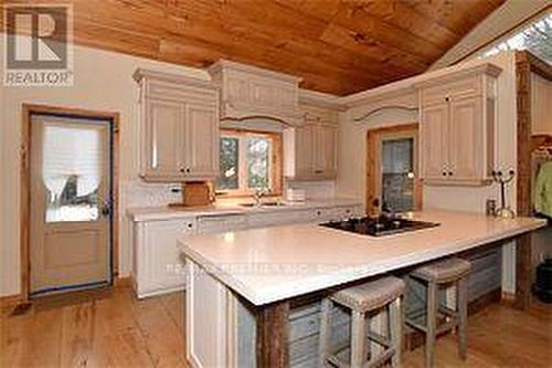 135 Sleepy Hollow Road, Blue Mountains, ON - Indoor Photo Showing Kitchen