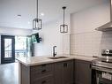 284 James Street N|Unit #1, Hamilton, ON  - Indoor Photo Showing Kitchen With Double Sink 