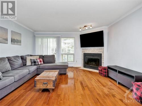 310 Briston Private, Ottawa, ON - Indoor Photo Showing Living Room With Fireplace