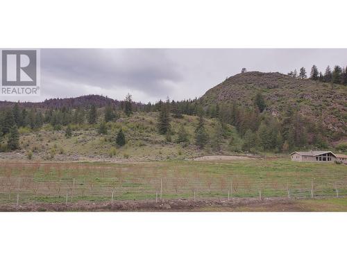 13969 Old Richter Pass Road, Osoyoos, BC - Outdoor With View