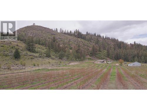 13969 Old Richter Pass Road, Osoyoos, BC - Outdoor With View