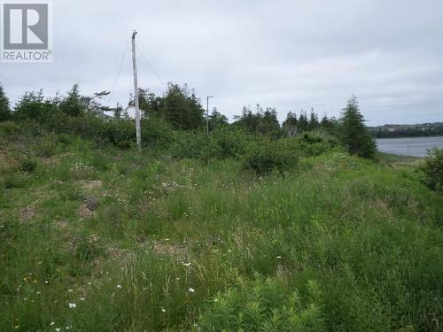 Lot 2 Junction Pond Unit#Lot 2, Whitbourne, NL 