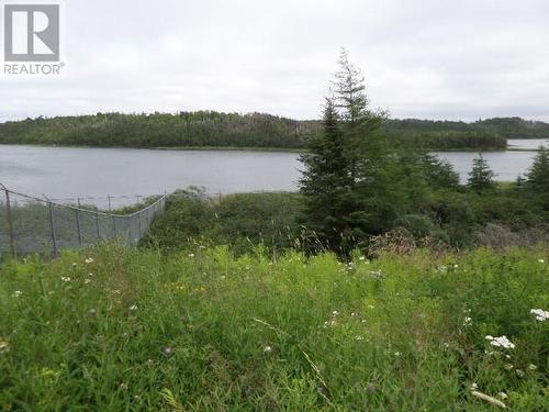 Lot 2 Junction Pond Unit#Lot 2, Whitbourne, NL 