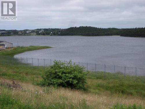 Lot 2 Junction Pond Unit#Lot 2, Whitbourne, NL 