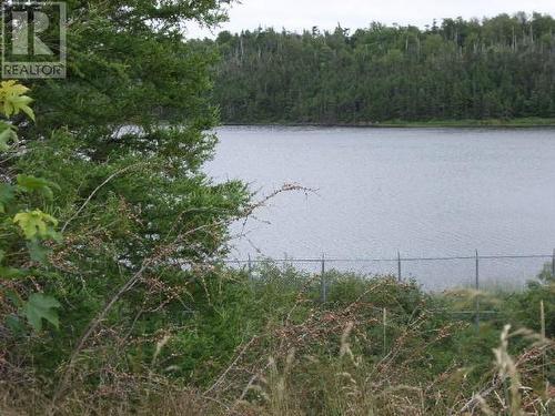 Lot 2 Junction Pond Unit#Lot 2, Whitbourne, NL 