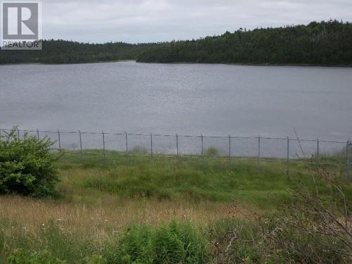 Lot 1 Junction Pond Unit#Lot 1, Whitbourne, NL 