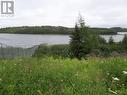 Lot 1 Junction Pond Unit#Lot 1, Whitbourne, NL 