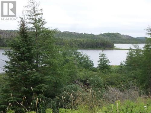 Lot 1 Junction Pond Unit#Lot 1, Whitbourne, NL 