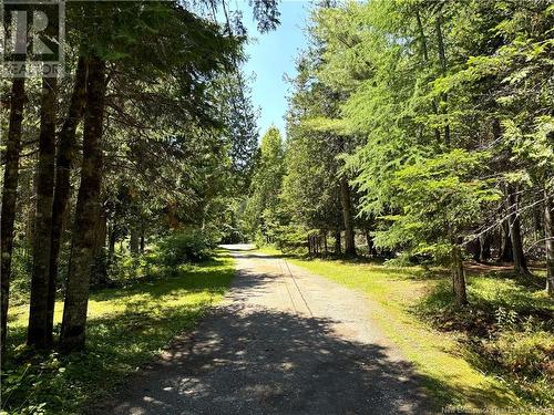 568 Bayview Drive, Saint Andrews, NB - Outdoor With View