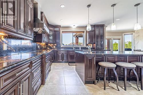 1453 Stoneybrook, Windsor, ON - Indoor Photo Showing Kitchen With Upgraded Kitchen