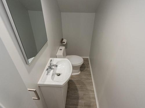 Powder room - 2595 Rue Des Pintades, Laval (Sainte-Rose), QC - Indoor Photo Showing Bathroom