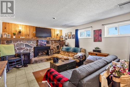 799 County Rd 24 Road, Kawartha Lakes, ON - Indoor Photo Showing Living Room With Fireplace