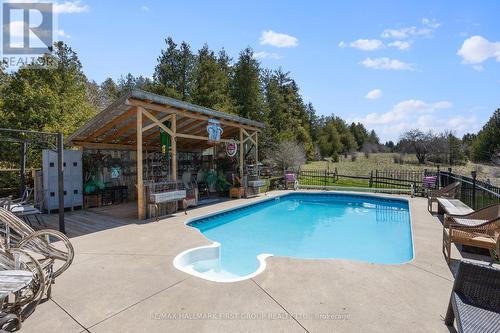 799 County Rd 24 Road, Kawartha Lakes, ON - Outdoor With In Ground Pool