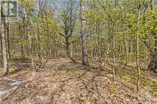 2 Old Mountain Road, Westport, ON - Outdoor With View