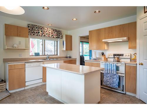 403 8Th Street S, Kaslo, BC - Indoor Photo Showing Kitchen With Double Sink