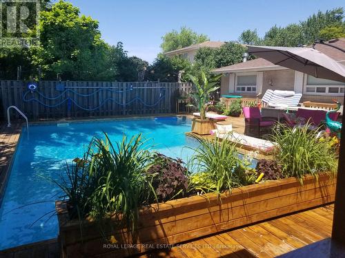 31 Roberts Crescent, Brampton, ON - Outdoor With In Ground Pool With Backyard