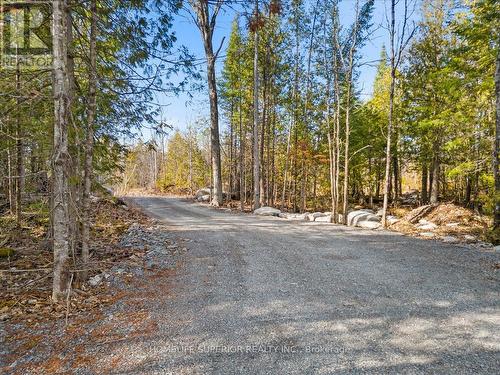 17 Cedar Court, Marmora And Lake, ON - Outdoor With View