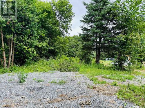 Lot 34 Cockburn Street, Kawartha Lakes (Norland), ON 