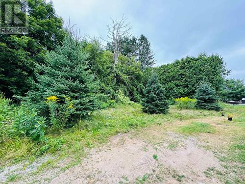 Lot 34 Cockburn Street, Kawartha Lakes (Norland), ON 