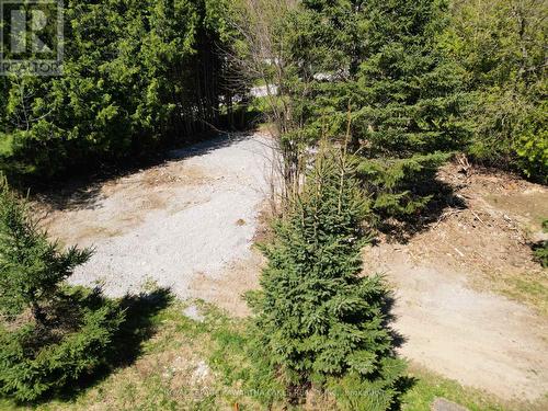 Lot 34 Cockburn Street, Kawartha Lakes (Norland), ON 