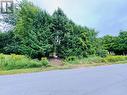 Lot 34 Cockburn Street, Kawartha Lakes (Norland), ON 