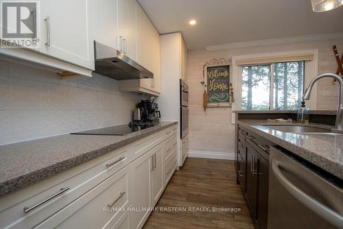 960 Westlake Drive, Smith-Ennismore-Lakefield, ON - Indoor Photo Showing Kitchen