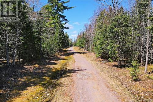 1276 Cox Point Road, Cumberland Bay, NB - Outdoor With View