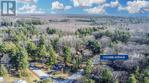 3 Ghibb Avenue, Springwater, ON - Outdoor With View