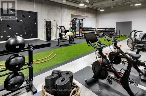 730 - 55 Stewart Street, Toronto, ON - Indoor Photo Showing Gym Room