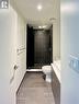 804 - 111 Bathurst Street, Toronto, ON  - Indoor Photo Showing Bathroom 
