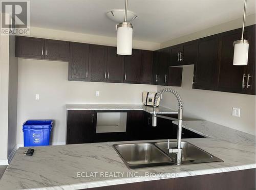 102 Morgan Clouthier Way E, Ottawa, ON - Indoor Photo Showing Kitchen With Double Sink