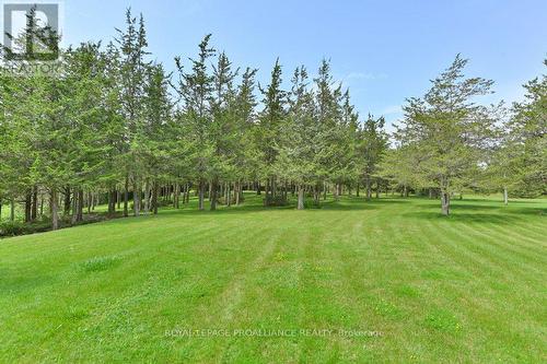 1156 Christian Road, Prince Edward County (Bloomfield), ON - Outdoor