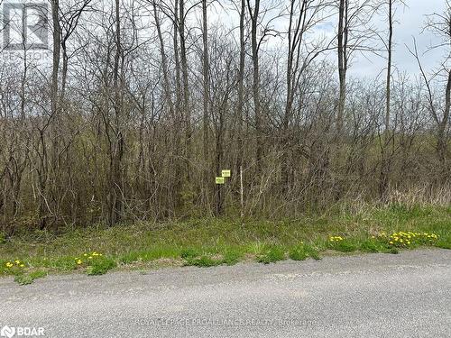 Easterly limit of lot at road. - 0 Callaghan Road, Tyendinaga, ON 