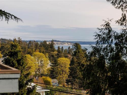 5018 Lochside Dr, Saanich, BC - Outdoor With View