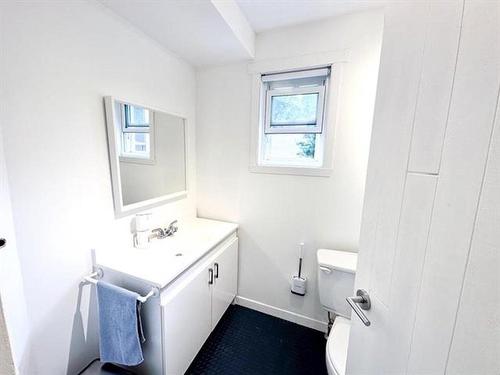 Salle d'eau - 51Z  - 53Z Rue St-Antoine, Sainte-Agathe-Des-Monts, QC - Indoor Photo Showing Bathroom