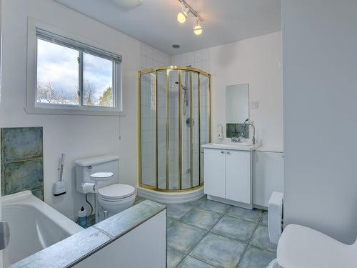 Salle de bains - 51Z  - 53Z Rue St-Antoine, Sainte-Agathe-Des-Monts, QC - Indoor Photo Showing Bathroom