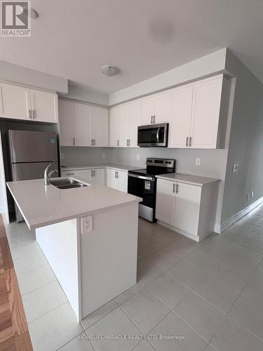 113 Corley Street, Kawartha Lakes, ON - Indoor Photo Showing Kitchen With Stainless Steel Kitchen With Double Sink