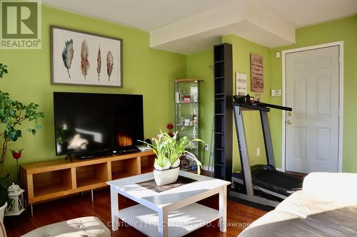 38B Beachell Street, Toronto, ON - Indoor Photo Showing Living Room